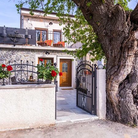 Villa Mulberry Milohnici エクステリア 写真