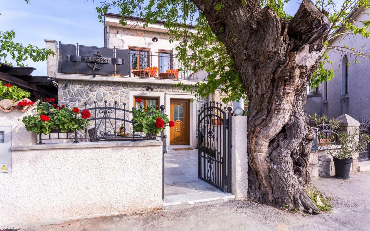 Villa Mulberry Milohnici エクステリア 写真